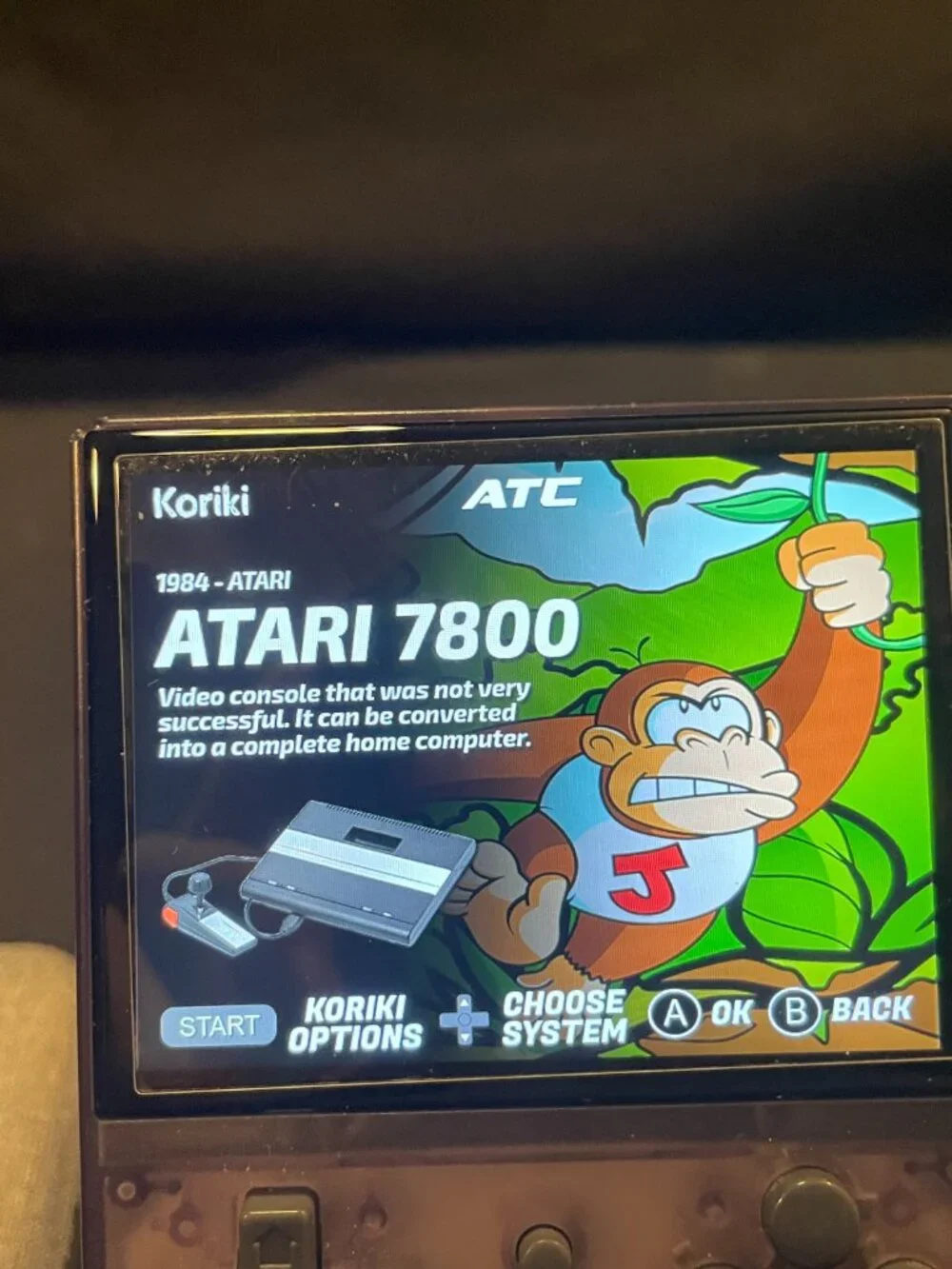 Ambernic Handheld Customized Koriki OS With Accessories